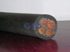 水樹枝的（de）定義
